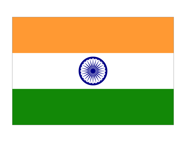 India Special Line